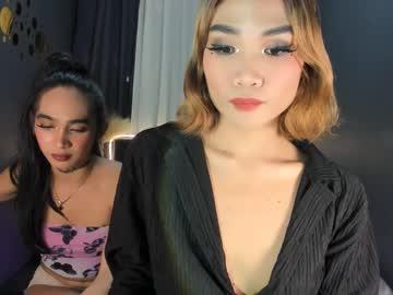 Amirafoster - Chaturbate model